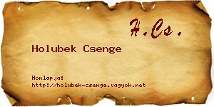 Holubek Csenge névjegykártya