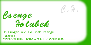 csenge holubek business card